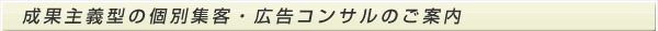 成果主義型の個別集客・広告コンサルのご案内